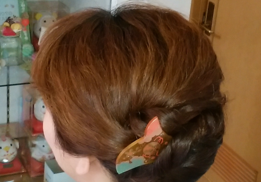 上から撮影。　トップの毛流れがわかる