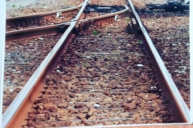 ポイントの部分を拡大した写真