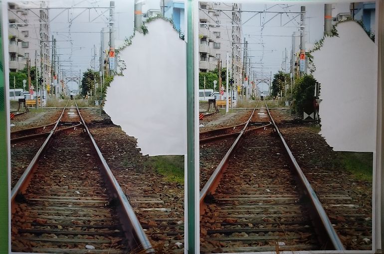 余分にプリントした写真二枚の植木の部分を切り取っている