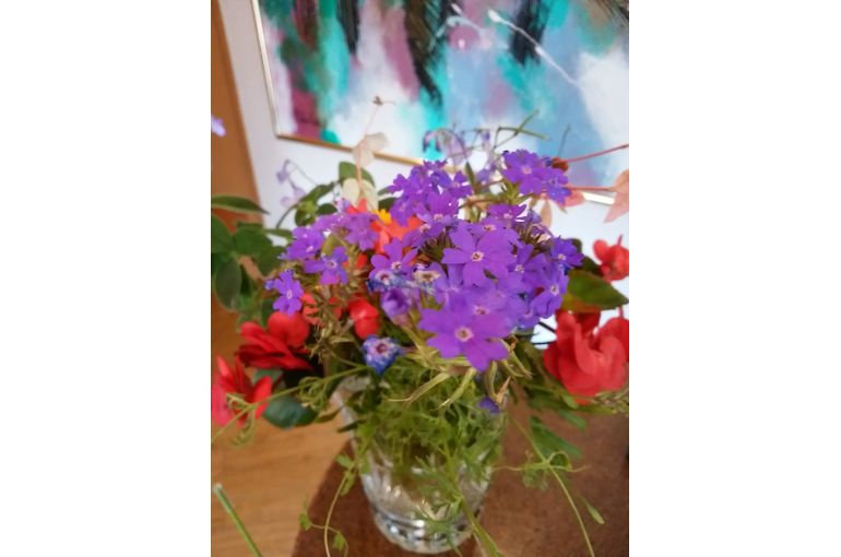 花瓶の中の赤紫色の小花と赤い花