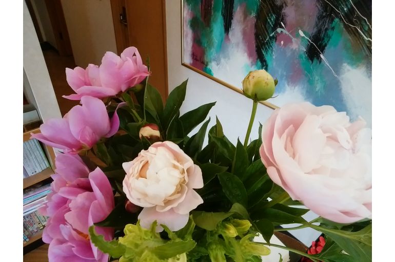 白いシャクヤクの花
