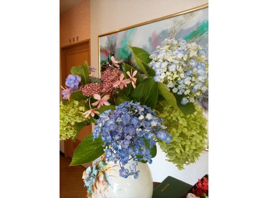 ピンク色、青色、紫色、薄緑色、白色などのアジサイの花
