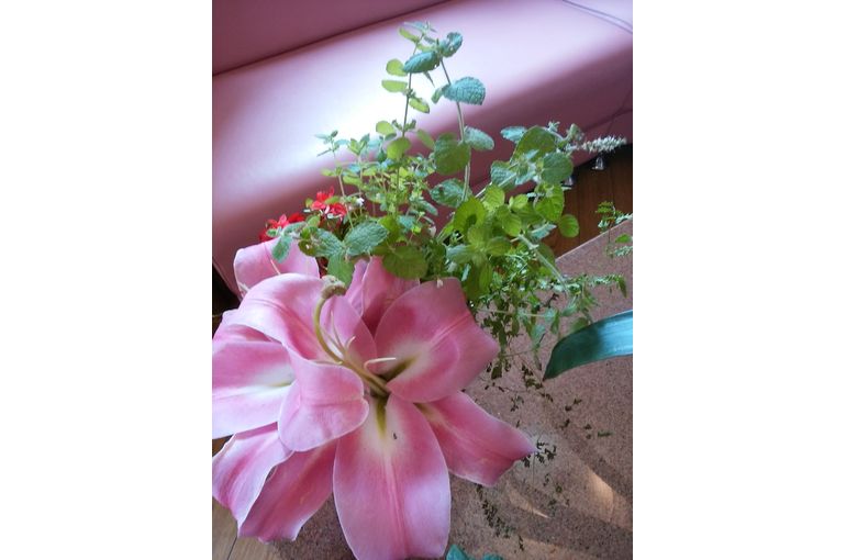 花瓶に生けた ピンク色のユリの花とハーブたち