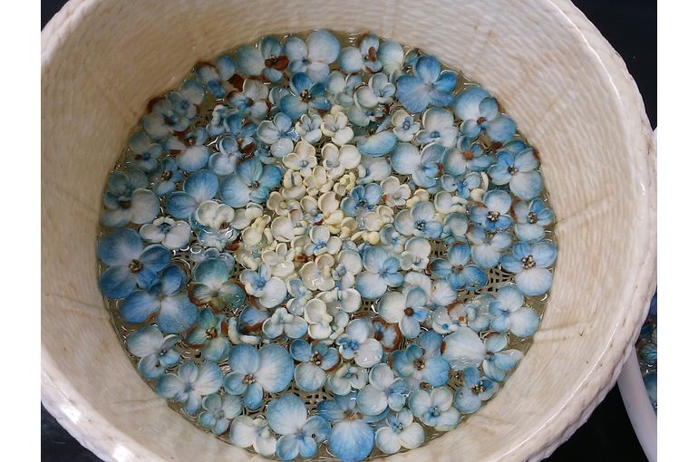お皿の水に浮かんだ花びらたち