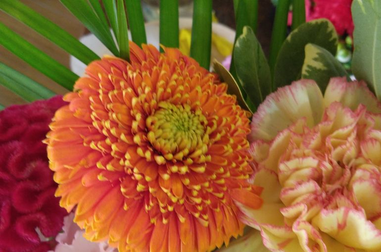 オレンジ色の花